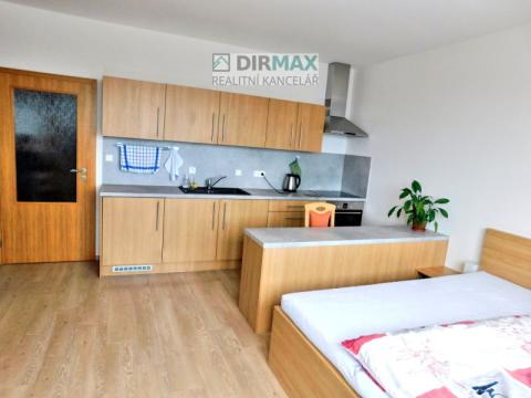 Pronájem bytu 1+kk, Plzeň - Jižní Předměstí, Goldscheiderova, 29 m2