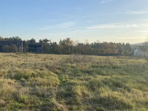 Prodej pozemku pro bydlení, Davle, 932 m2