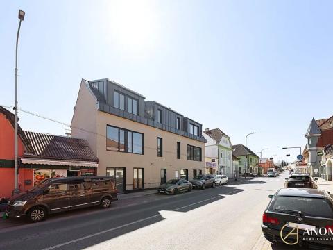 Pronájem ordinace, Praha - Vinoř, Mladoboleslavská, 17 m2