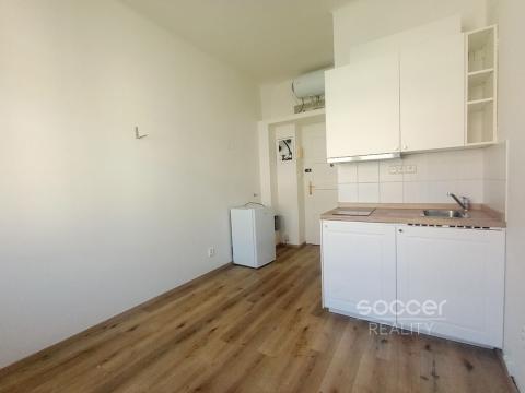 Pronájem bytu 1+kk, Praha - Žižkov, Jeseniova, 15 m2