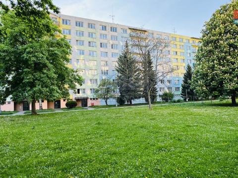Pronájem bytu 2+1, České Budějovice - České Budějovice 3, Plzeňská, 49 m2