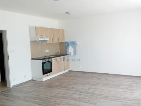 Pronájem bytu 1+kk, Plzeň, Rejskova, 54 m2