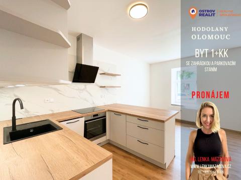 Pronájem bytu 1+kk, Olomouc - Hodolany, Elišky Krásnohorské, 36 m2