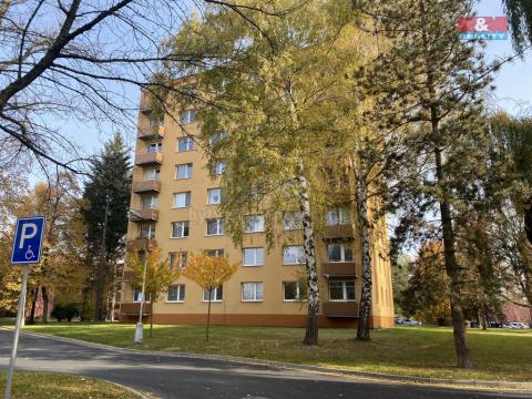 Pronájem bytu 3+1, Hranice - Hranice I-Město, Struhlovsko, 72 m2