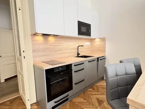 Pronájem bytu 1+kk, Praha - Vinohrady, Mánesova, 42 m2