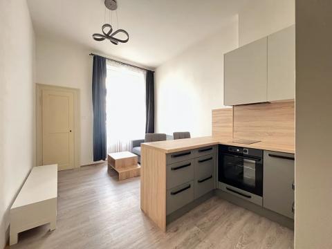 Pronájem bytu 2+kk, Praha - Vinohrady, Mánesova, 53 m2