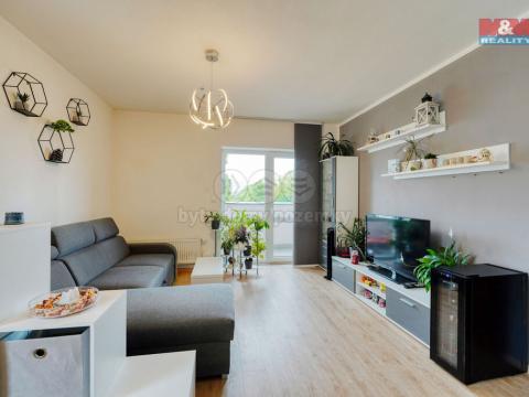 Prodej bytu 3+kk, Plzeň - Východní Předměstí, Buková, 80 m2