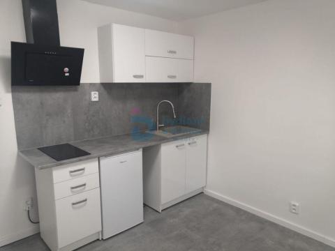 Pronájem bytu 1+kk, Olomouc - Nová Ulice, Wolkerova, 25 m2