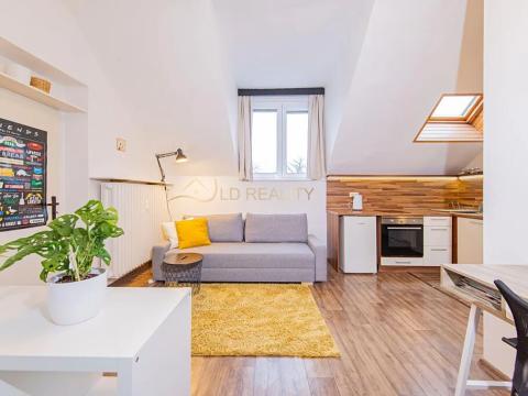 Pronájem bytu 1+kk, Olomouc, Krapkova, 25 m2