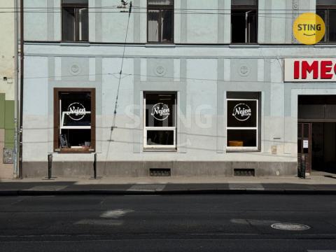 Pronájem obchodního prostoru, České Budějovice, Husova tř., 148 m2