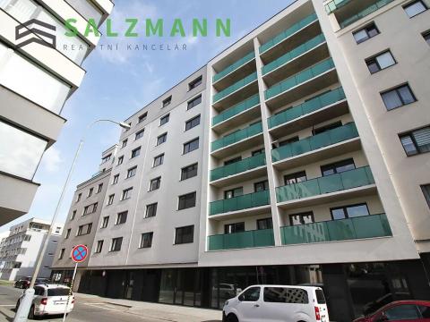 Pronájem bytu 2+kk, Plzeň, Poděbradova, 61 m2