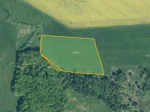 Prodej louky, Mirotice, 17551 m2
