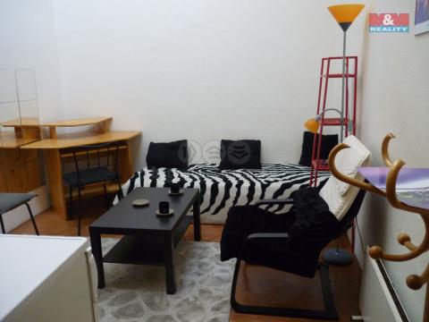 Pronájem bytu 1+kk, Praha - Vinohrady, Mánesova, 15 m2