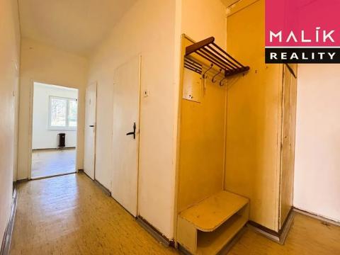 Prodej bytu 2+1, Ostrov, S. K. Neumanna, 56 m2