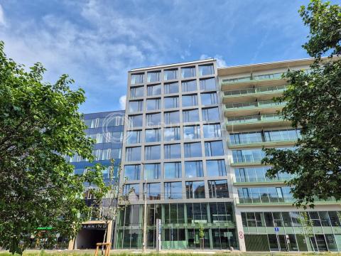 Pronájem obchodního prostoru, Brno - Staré Brno, Nové sady, 310 m2