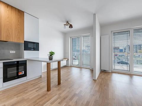 Pronájem bytu 1+kk, Praha - Vysočany, Fafkových, 39 m2