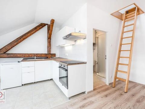 Pronájem bytu 1+kk, České Budějovice, Matice školské, 40 m2