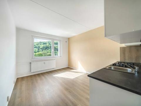 Prodej bytu 1+1, Žlutice, Pod Strání, 39 m2
