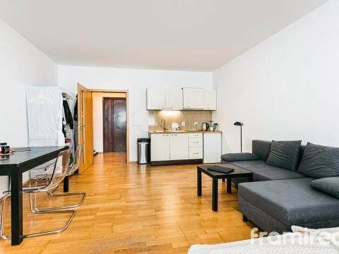 Pronájem bytu 1+kk, Brno, Palackého třída, 42 m2
