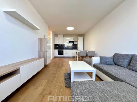 Pronájem bytu 2+kk, Brno, Vídeňská, 54 m2