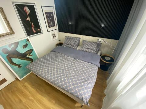 Pronájem bytu 2+kk, Praha - Žižkov, 60 m2