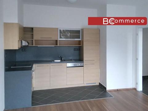Pronájem bytu 2+kk, Brno, 54 m2