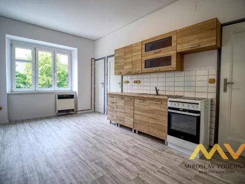 Pronájem bytu 1+1, Hradec Králové - Pražské Předměstí, Zamenhofova, 45 m2