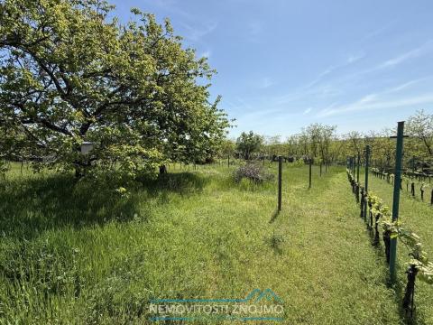 Prodej zahrady, Dobšice, 650 m2