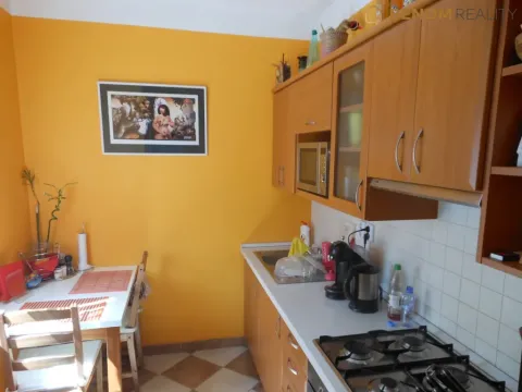 Pronájem bytu 1+1, Olomouc, Foerstrova, 41 m2