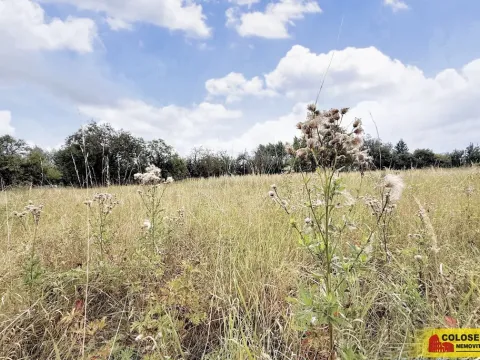 Prodej pozemku pro bydlení, Sebranice, 2000 m2