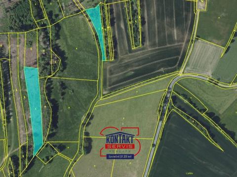 Prodej lesa, Pravonín - Tisek, 38239 m2