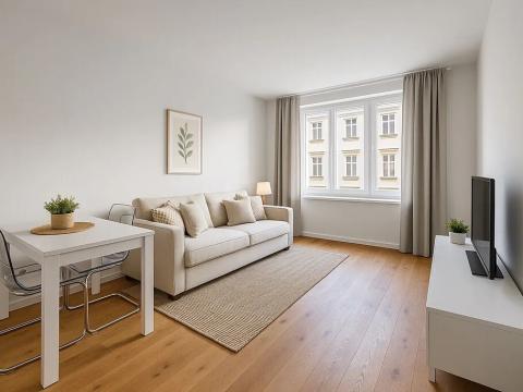 Prodej bytu 2+kk, Praha - Vinohrady, Římská, 49 m2