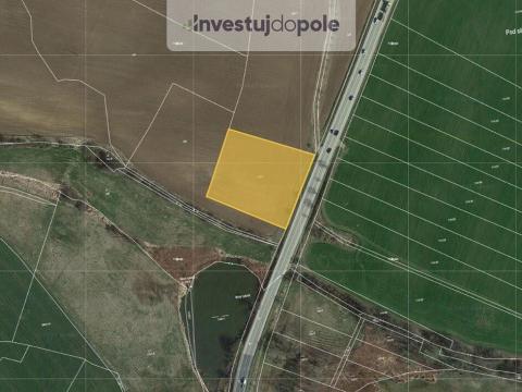 Prodej pole, Olbramovice - Zahradnice, 905 m2