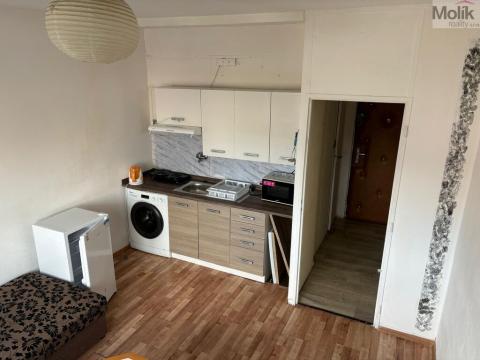 Pronájem bytu 1+kk, Bílina - Teplické Předměstí, Sídliště Za Chlumem, 29 m2