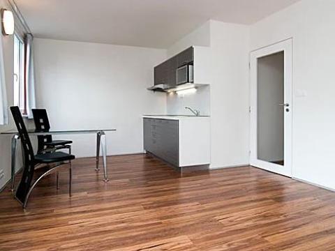 Pronájem bytu 1+kk, Praha - Karlín, Molákova, 36 m2
