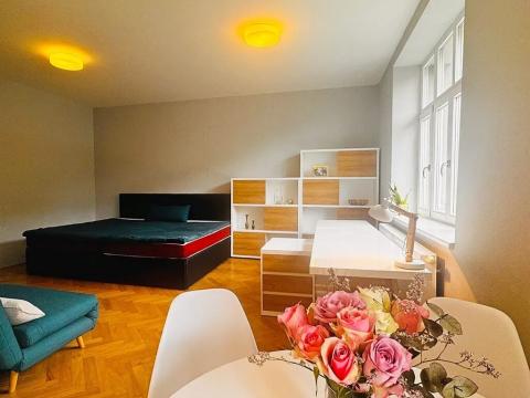 Pronájem bytu 1+kk, Brno, Úvoz, 51 m2