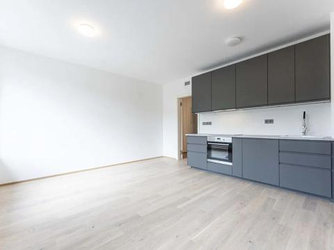 Pronájem bytu 1+kk, Praha - Radlice, U Komína, 31 m2