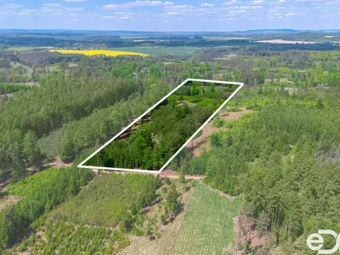 Prodej lesa, Jetětice, 79500 m2