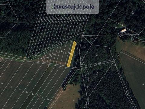 Prodej pole, Moravský Písek, 571 m2