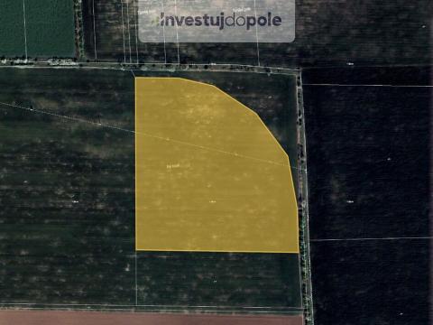 Prodej pole, Holubice - Kozinec, 10992 m2