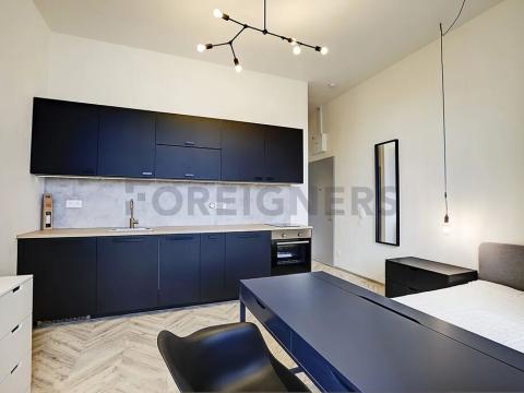 Pronájem bytu 1+kk, Brno, Vlhká, 27 m2