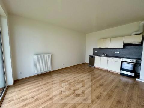 Pronájem bytu 2+kk, Kladno, Bohumila Landy, 43 m2