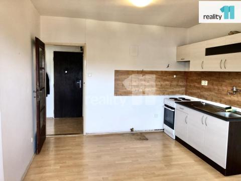 Pronájem bytu 1+1, Praha - Dejvice, Vostrovská, 42 m2