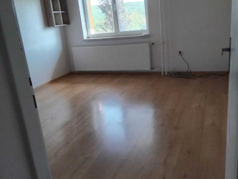 Pronájem bytu 1+kk, Dolní Lhota, 27 m2