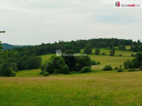 Prodej louky, Místo, 14201 m2