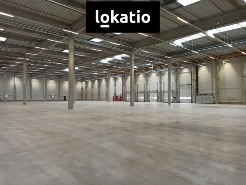 Pronájem skladu, Pardubice - Rosice, 14739 m2