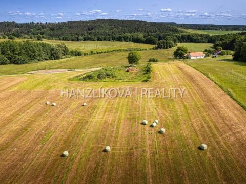 Prodej pozemku pro bydlení, Dubičné, 4385 m2