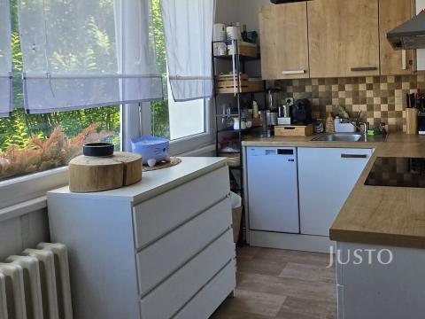 Pronájem bytu 2+1, Písek - Budějovické Předměstí, třída Přátelství, 60 m2