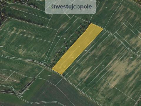 Prodej pole, Pavlice, 8074 m2