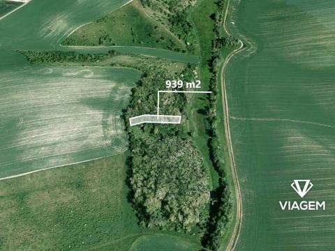 Prodej podílu lesa, Bošovice, 626 m2